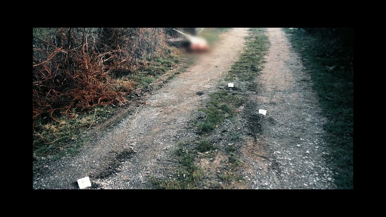 Re-creation - Official Trailer