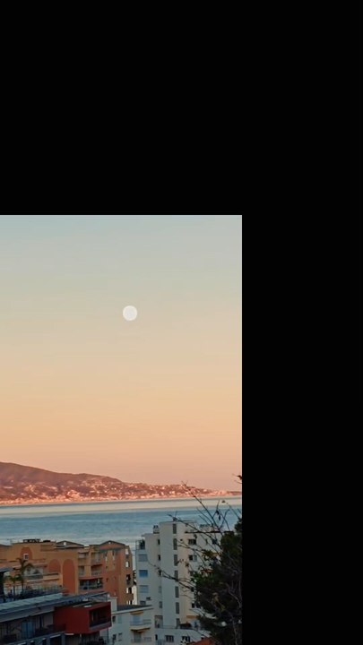 Moonlight