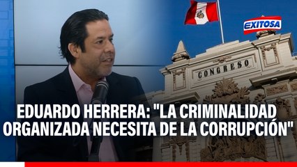 Eduardo Herrera: "La criminalidad organizada necesita de la corrupción para infiltrar el sistema de justicia"