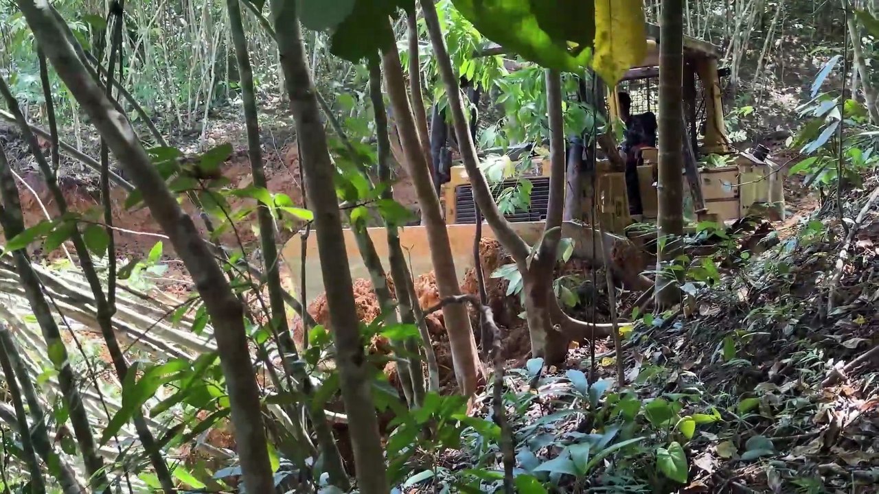 The Difficult Process of Clearing Roads in Extreme Mountains with a D6R XL Bulldozer