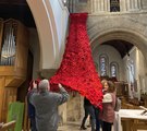 Curtain of poppies at Petersfield church