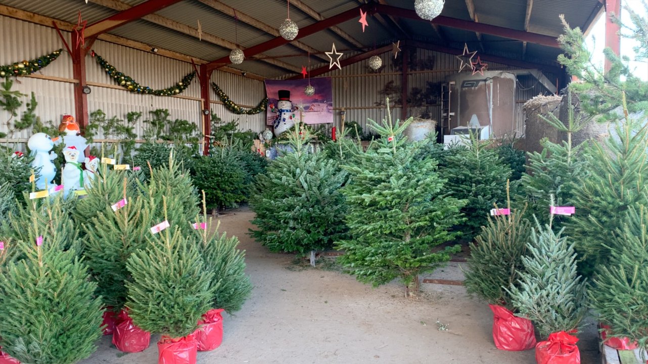 Has Christmas started already?