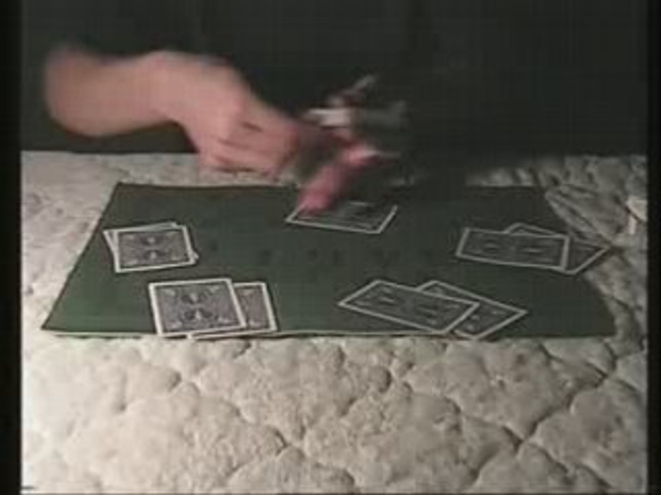 La donne du tricheur