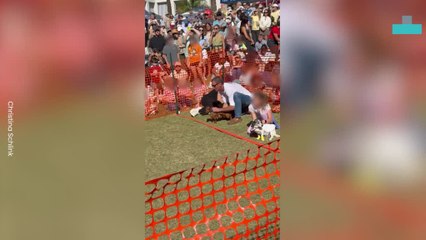 Dog Ditches Race to Fight With His Opponent