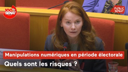 100% Sénat - Manipulations numériques en période électorale : quels sont les risques ?