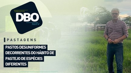 Pastos desuniformes decorrentes do hábito de pastejo de espécies diferentes