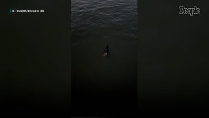 An Exhausted Raccoon Struggling to Stay Afloat Was Rescued by a Couple Using a Construction Cone