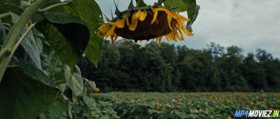 Pet Sematary: Bloodlines (2023) – Full Movie