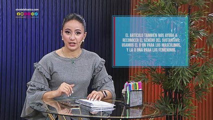 Español para todos: Los artículos