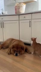 You have a good time discovering funny news