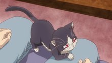 The Cat In My Room Episode 11 IN ENGLISH