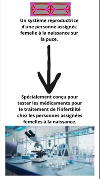 Un organe sur la puce pour tester les médicaments pour traiter l’infertilité chez les personnes assignées femelles à la naissance