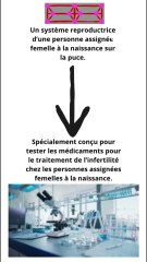 Un organe sur la puce pour tester les médicaments pour traiter l’infertilité chez les personnes assignées femelles à la naissance