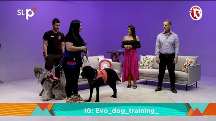 Su Lado Positivo - 29 Octubre 2025