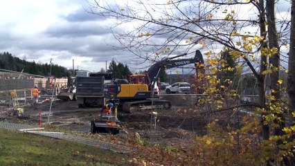 Jardin de pluie : pour une meilleure gestion des eaux pluviales