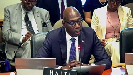Entèvansyon Ayiti nan reyinyon konsèy pèmanan OEA a.