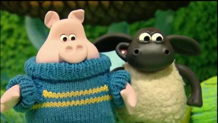 Timmy Time "Timmy's Picnic"