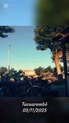 Luna en el cielo, el sol se va y los perritos activos - Tacuarembó 03/11/2025