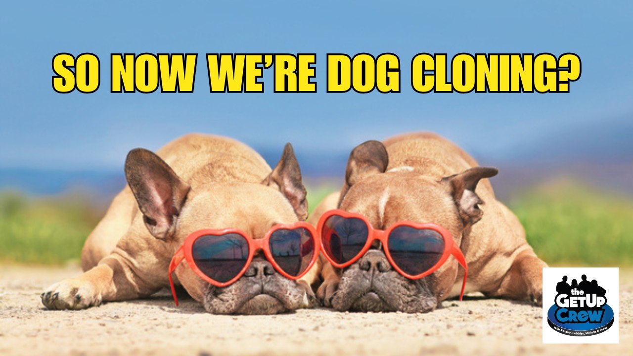 Tom Brady's Dog Cloning