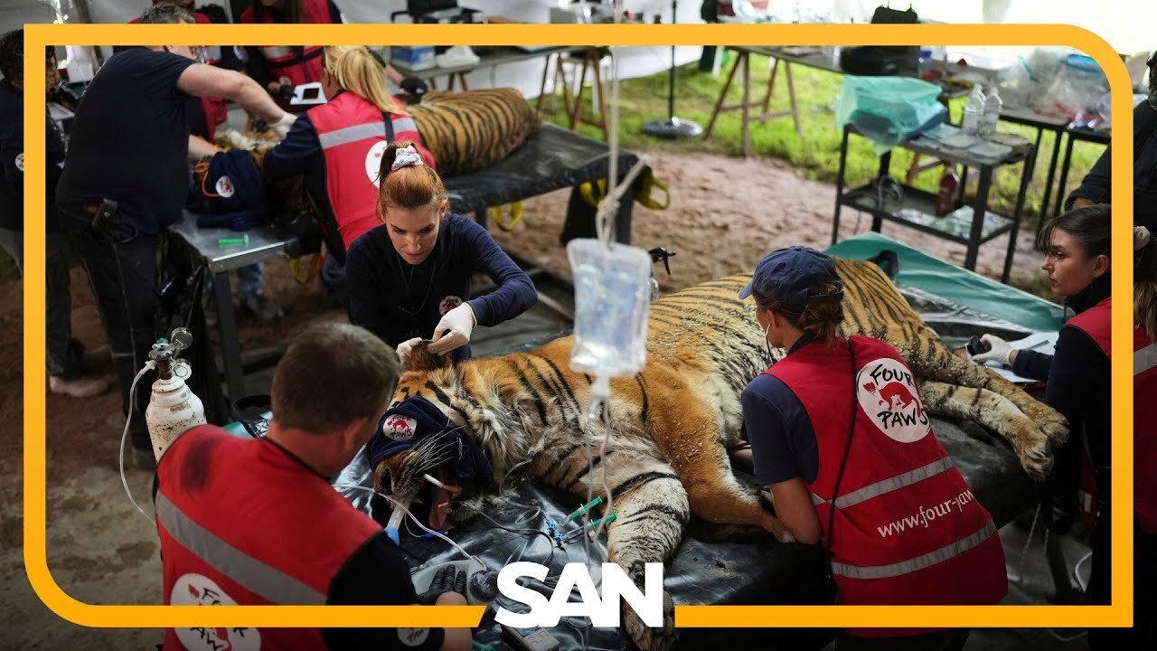 Dozens of animals abandoned at zoo for 5 years receive emergency care: Report