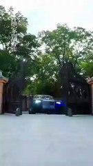 reborn to take back everything chinese drama, reborn to get everything back chinese drama