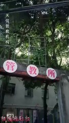 The fake sister’s game chinese drama [Multi Sub]