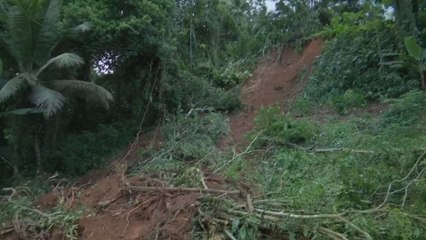 Familias en Buena Aventura de Colón piden ayuda tras deslizamiento de tierra que afectó sus viviendas