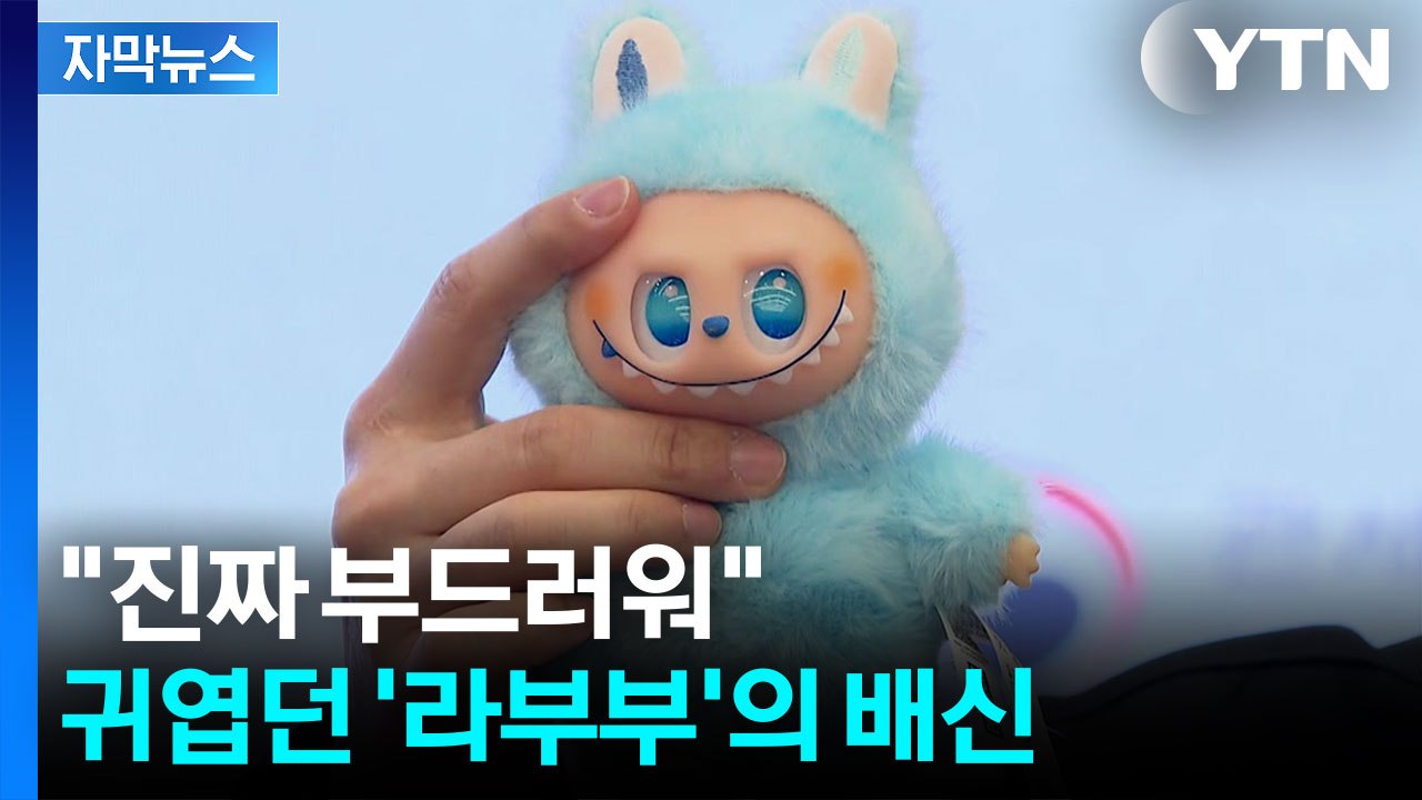 [자막뉴스] '라부부' 키링 조사했더니...깜짝 놀랄 결과 / YTN