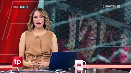 Fallo que libera a Áñez debe beneficiar a otros involucrados en el caso, señala abogada