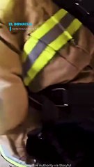 Bomberos salvan a dos gatos en un hogar en llamas