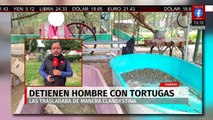 En Chiapas, detienen a un hombre que transportaba de manera ilegal más de tres mil tortugas