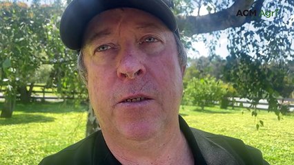 Rain and supply shortages drive Leongatha steers in surging market