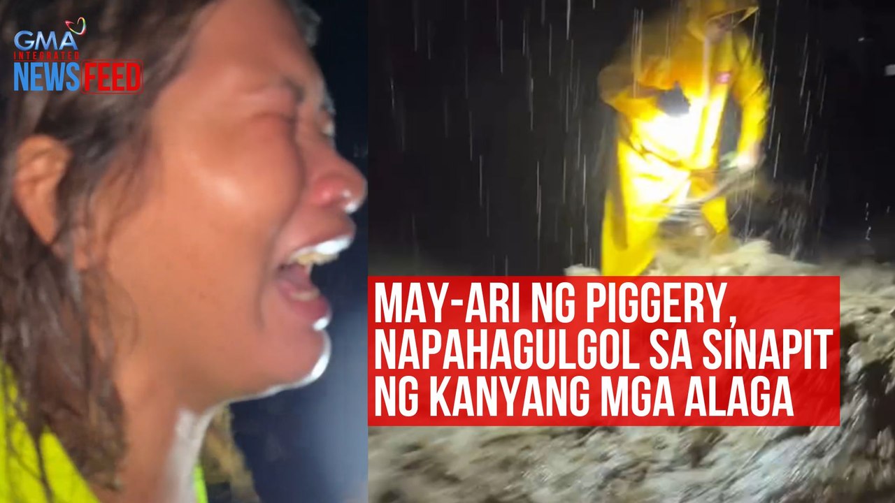 May-ari ng piggery, napahagulgol sa sinapit ng kanyang mga alaga | GMA Integrated Newsfeed