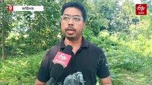 আফ্ৰিকান ছোৱাইন ফিভাৰ : কি কৰিব লাগিব গাহৰি পালকসকলে ?