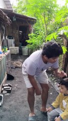 Tan-aw si Grey sa rooster