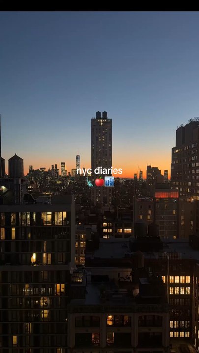 nyc diaries 1