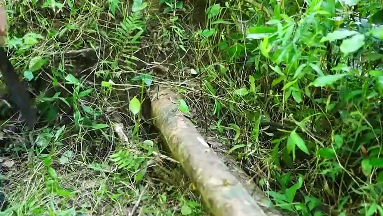 I Build My Dream House in the Forest in 90 Days _ From Start to Finish