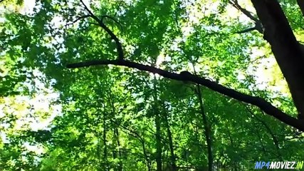 Swamp Devil (2008) – Full Movie Hollywood Hindi Dubbed