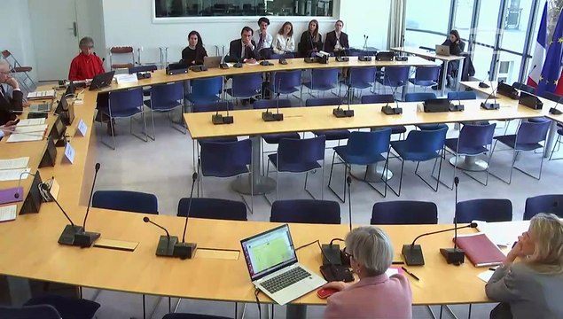 Commission des affaires européennes : Garantir l’attribution post 2030 sur la bande de fréquences inférieure à 700 mégahertz à la TNT - Mercredi 5 novembre 2025