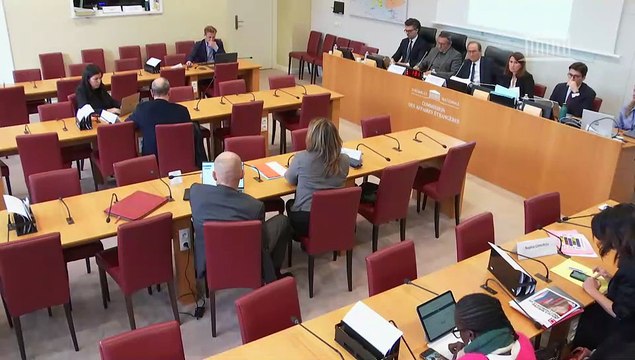 Commission des affaires étrangères : Crédits de la mission Économie - commerce extérieur et diplomatie économique (PLF 2026) ; M. Jean-Noël Barrot, ministre de l’Europe et des affaires étrangères - Mercredi 5 novembre 2025