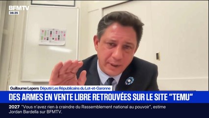 Armes en vente libre sur Temu: Guillaume Lepers, député LR du Lot-et-Garonne, a saisi le parquet de Paris