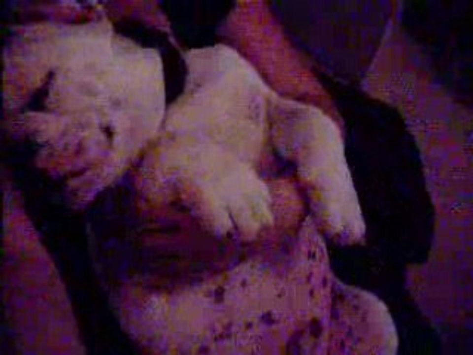 le gros calin du soir
