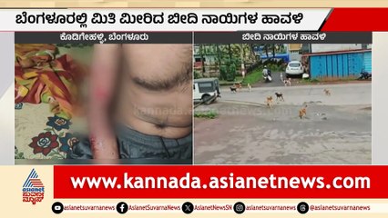 Government Inaction Amid Rising Attacks by BD Dogs in Bengaluru
