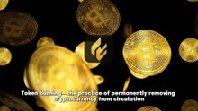 Token Burns Explained: Niufo's Market Analysis on What Really Drives Crypto Value