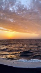 Nature , Ocean and Fishing sunset