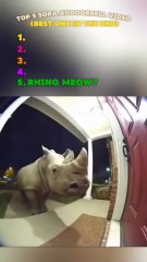 funniest clips 😂 #funny #relatable #lol #memes #funnyvideos