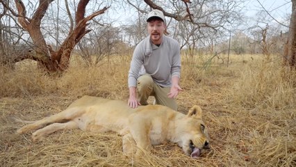 I Saved 1,000 Animals From Dying