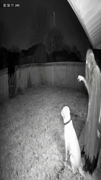 funniest clips 😂 #funny #relatable #lol #memes #funnyvideos