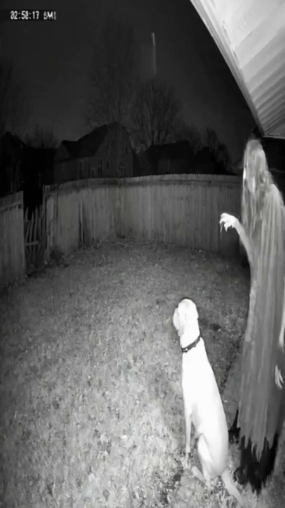 funniest clips 😂 #funny #relatable #lol #memes #funnyvideos