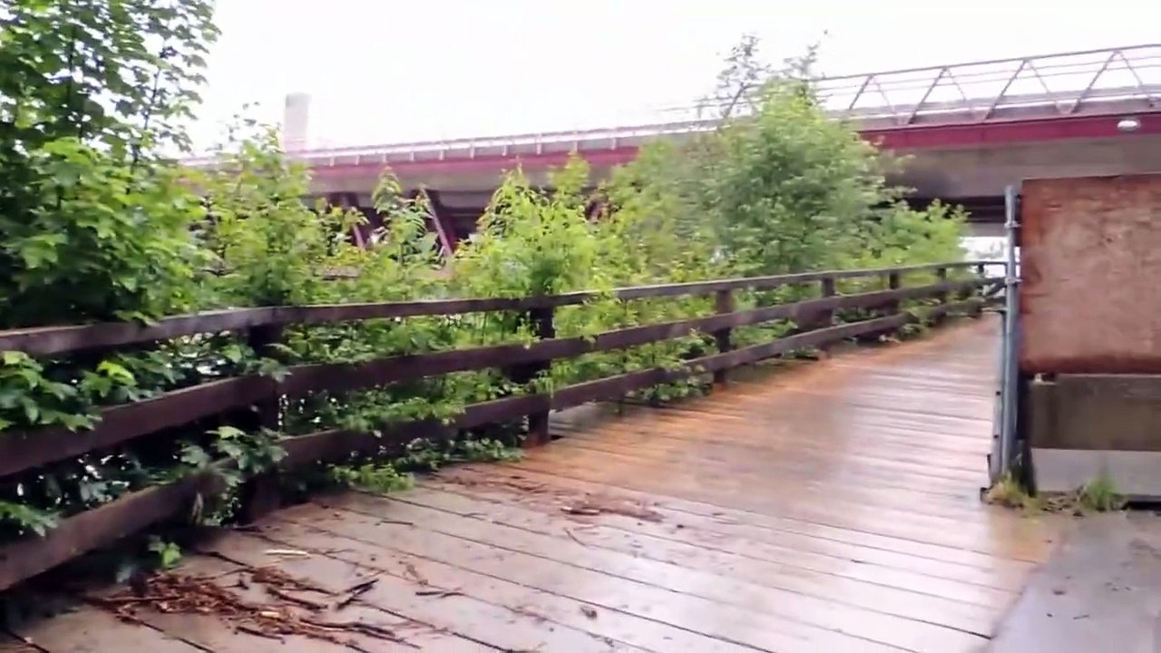 Hochwasser Salzburg Nord (flooding) by Peter Siegfried Krug